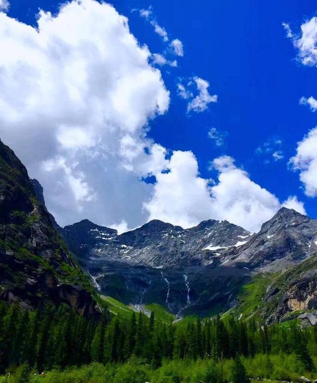 熊猫冬眠吗为什么，熊猫冬眠吗为什么会死（大熊猫是冬眠的动物吗）