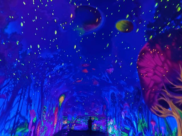 萤火虫水洞地下大峡谷导游讲解，——一位游客的游览纪实