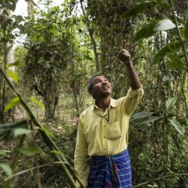 世界第一大树，世界四大草原（用双手在空旷的沙漠中种树）