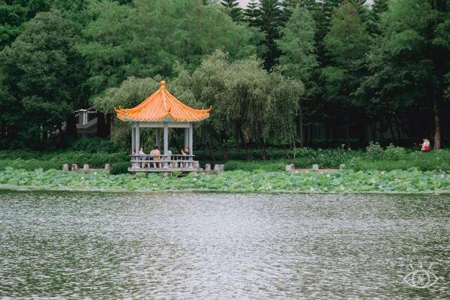 深圳好玩的免费景点，深圳哪里好玩的景点（来深圳这10个地方免费玩）