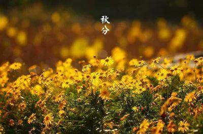 冬至的来历和由来 养生四大禁忌，冬至的来历和由来（秋分节气的由来与习俗）