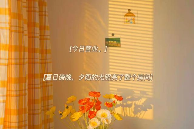 优美词句，优美词句段落（惊艳了时光的优美句子）