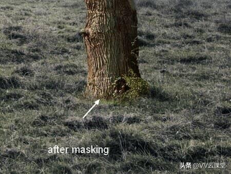 如何在PS中建立透明背景图层，ps怎么添加透明图层（中创建带有月亮的树的超现实图稿）