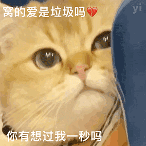 萌宠表情包，微信头像，萌宠表情包（萌宠表情包：我的爱是垃圾吗）