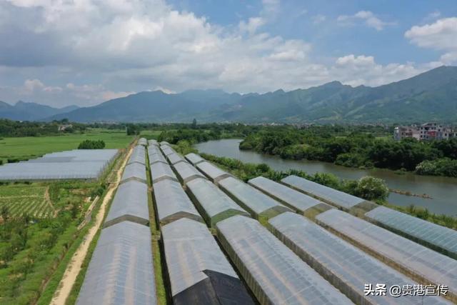 范家大院简介,《范府大院》的大结局(这里是思旺!) 范家大院简介,《范府大院》的大结局(这里是思旺!)