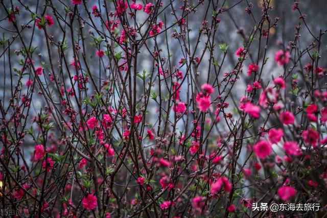 柳州旅游攻略必玩的景点，柳州旅游攻略必玩的景点图片（广西柳州最值得去的四个景点）