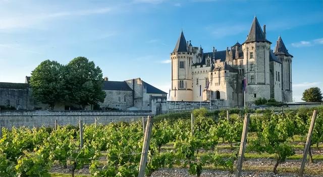 红葡萄酒的制作方法，葡萄酒的制作方法——红葡萄酒的制作方法（深度解答“新旧世界”葡萄酒的制作方法）