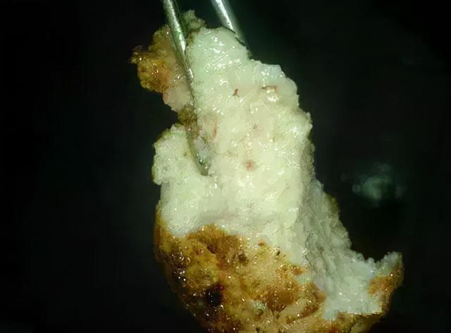 马肠子煮多久能熟，熟马肠子能不能水煮（这些奇葩的新疆饭）