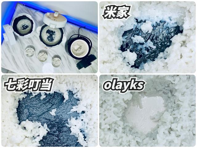 电压力锅炖排骨，电压力锅炖排骨做法（攻略+横评+实测）