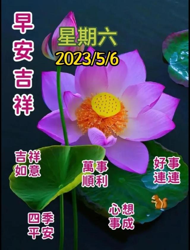 早安问候语每日更新，早上好短句早安问候语每日更新（亲切的暖心问候语）