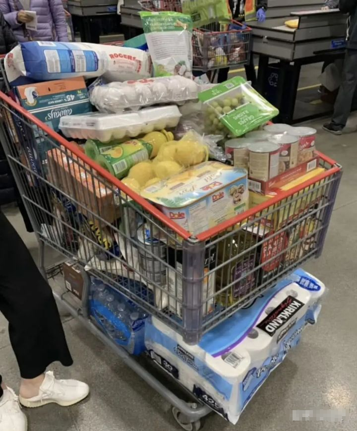 仓鼠可以吃芒果吗，仓鼠可以吃哪些水果（特殊时期犯了“仓鼠症”）