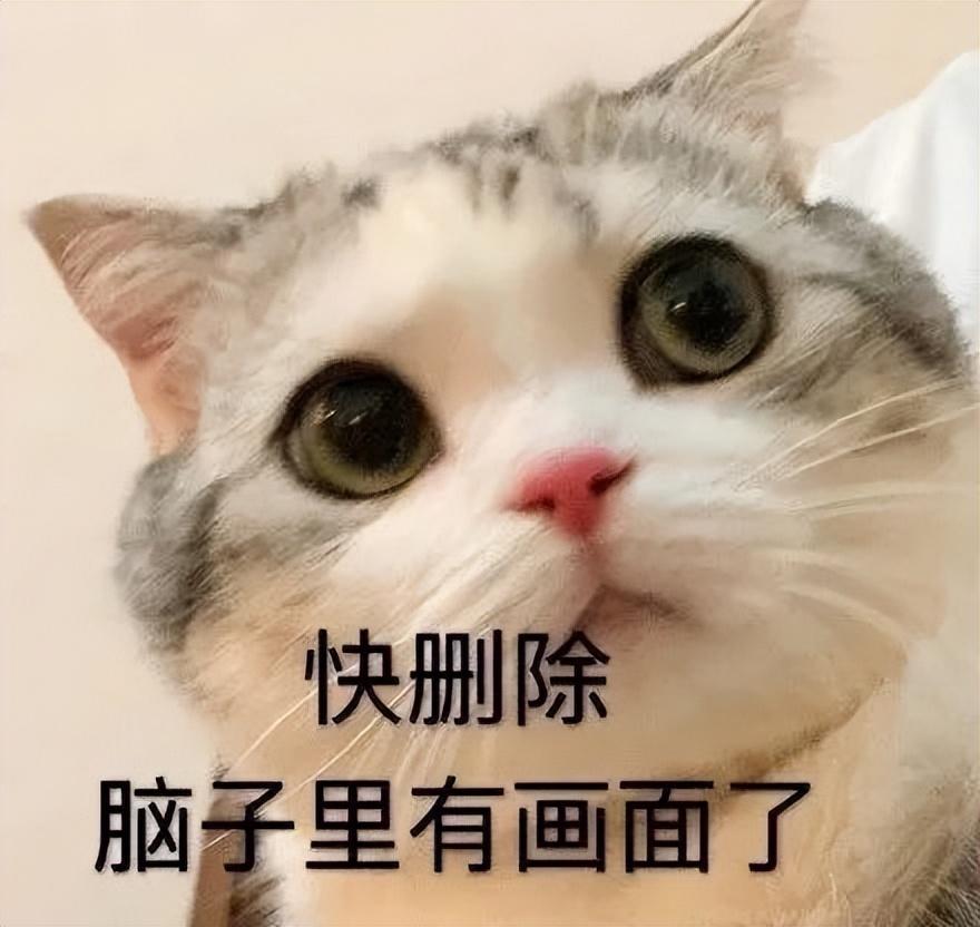 母猫做绝育手术多少钱 猫绝育针多少钱一支