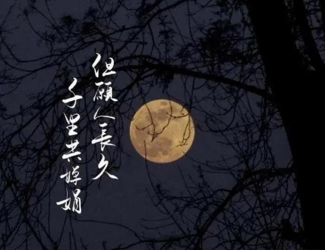 现代版三从四德，现代三从四德是什么（它的现代意思你知道吗）