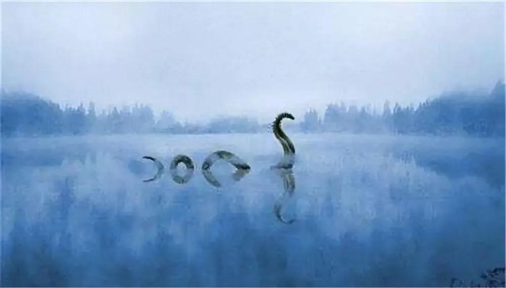 哲罗鲑鱼罕见现身，28年间仅被目击三次，神秘行踪引发广泛关注与科学探索兴趣。