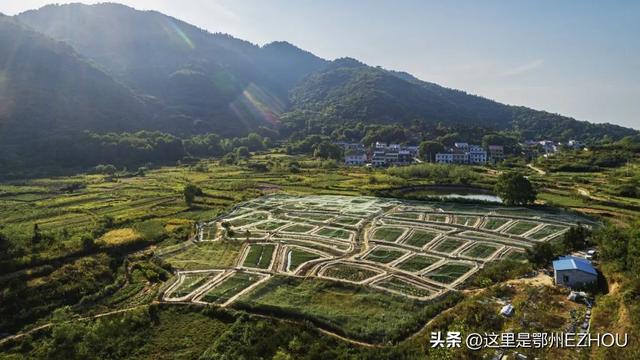 鄂州美食，鄂州美食图片（69万鄂城人最熟悉的味道都在这里）