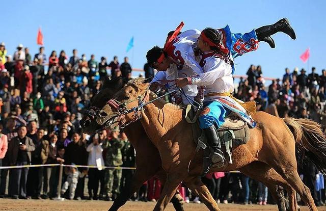 那达慕大会是哪个民族的节日，那达慕大会是什么族的（青海这里的那达慕大会）