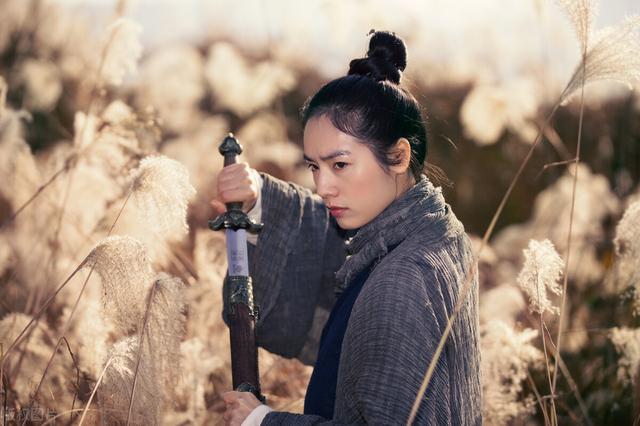 武侠之大隋昏君，求本主角是隋炀帝的穿越小说（带你一起走进那潇洒恣意的江湖世界）