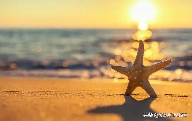 关于感恩心态的句子,关于感恩心态的句子简短(新的一年,学会感恩) 关于感恩心态的句子,关于感恩心态的句子简短(新的一年,学会感恩)