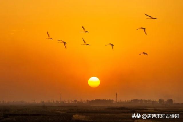 露从今夜白的下一句是什么，露从今夜白下一句是什么（白露：露从今夜白，秋风至此凉）