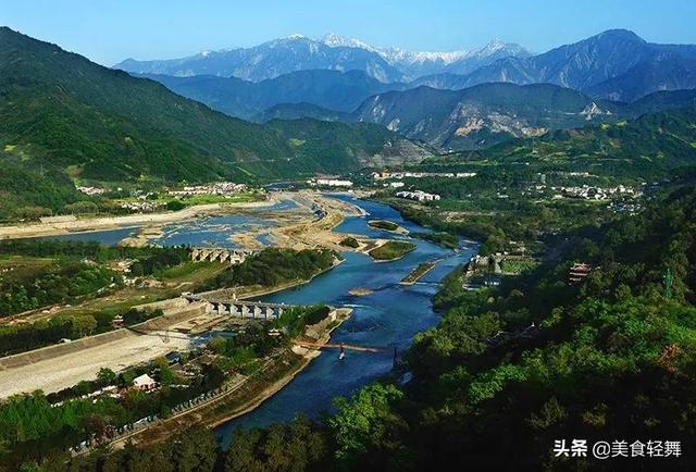竹叶青是什么茶，竹叶青是什么植物（四川人为何不喝竹叶青）
