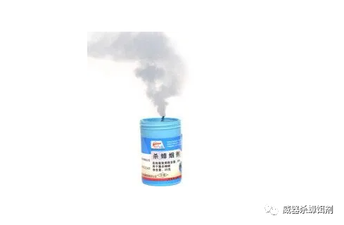 蟑螂会靠近熟睡的人吗，蟑螂会靠近熟睡的人吗1002无标题（蟑螂最怕三种克星）