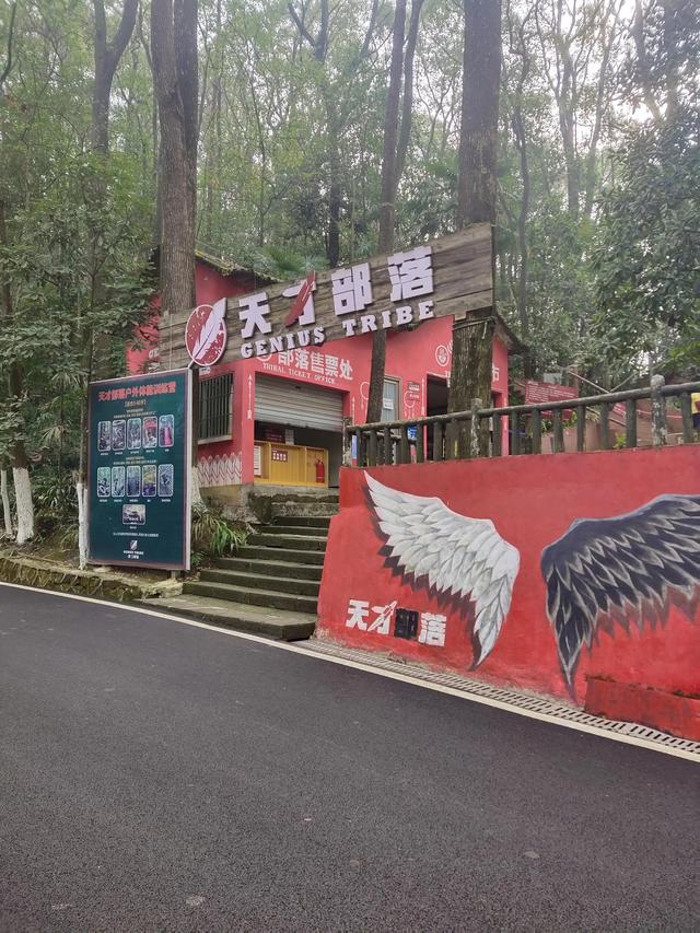 歌乐山森林公园，重庆旅游必去景点（歌乐山国家森林公园）