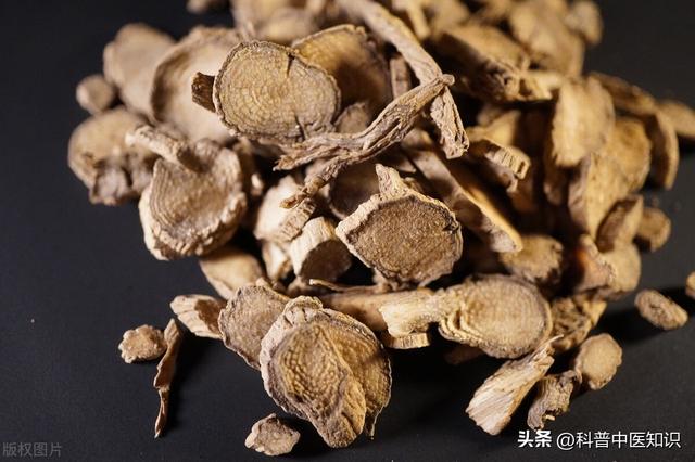 牛膝的功效与作用，牛膝的功效和作用有什么（引气血及药物下行<一>）