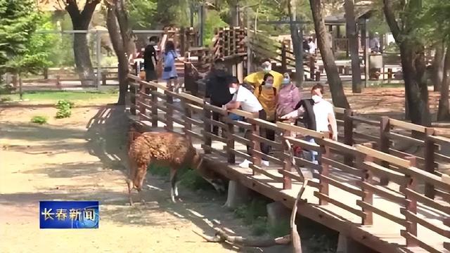 长春动植物园门票，动植物公园门票价格（这里室外区域全开放，去打卡~）