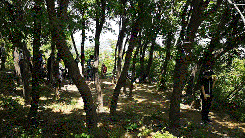 北京西山森林公园，北京西山森林公园登山路线推荐（西山国家森林公园）