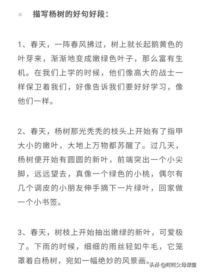 好词佳句摘抄大全，好词佳句摘抄大全初中（可以打印收藏背诵起来）