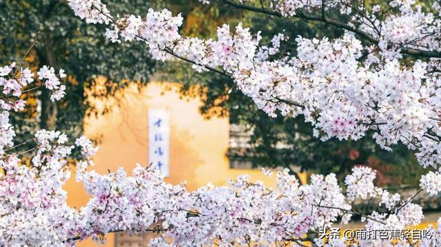 鸡鸣寺要门票吗，鸡鸣寺要预约吗（2023年南京吃住行玩超全攻略）