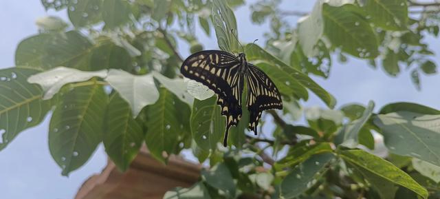 佛法修心口诀，禅宗心法口诀（修心不知如何修）