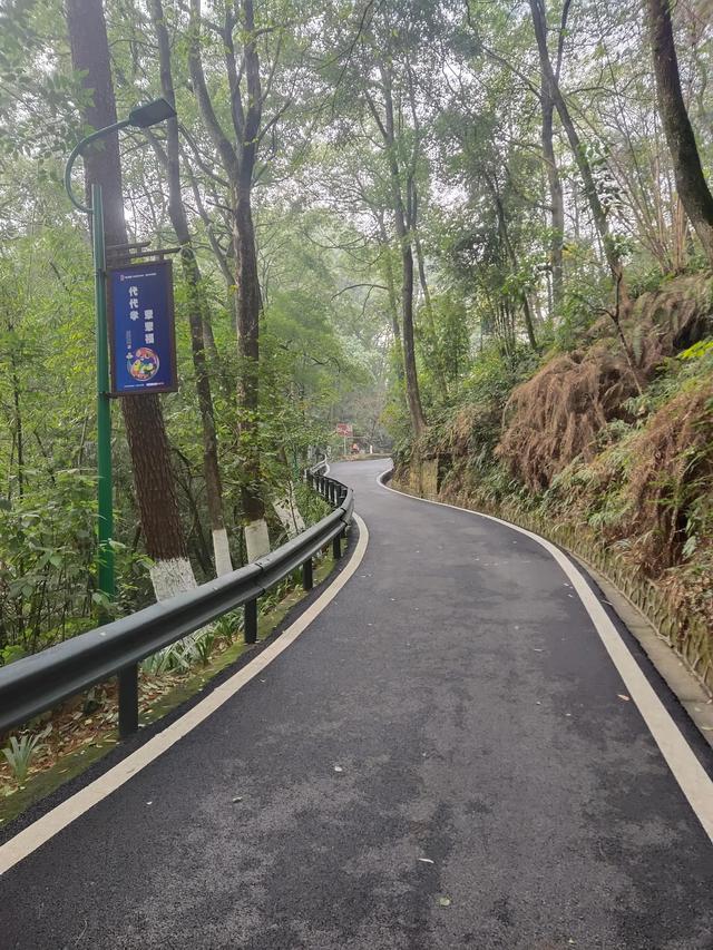 歌乐山森林公园，重庆旅游必去景点（歌乐山国家森林公园）