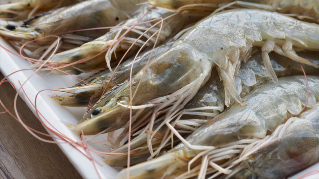 鹌鹑蛋是发物吗，属于发物的食物一览表（8种“增补食物”要多吃）