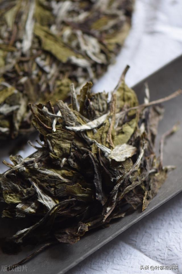 贡眉是什么茶，白茶贡眉与寿眉的区别究竟在哪里