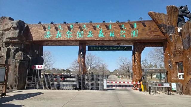 海拉尔国家森林公园旅游指南