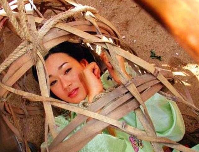 红杏出墙是什么意思，红杏出墙是什么意思打一生肖（俗语：“不怕红杏会出墙）