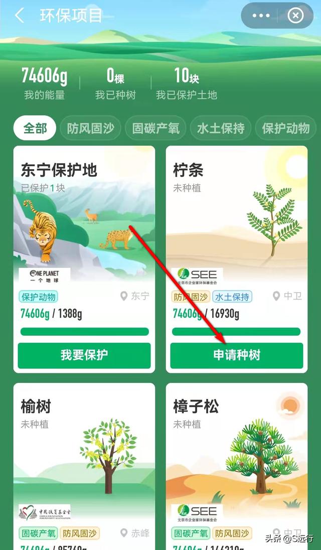 蚂蚁森林种树有什么用2022植树节教您足不出户种一棵树