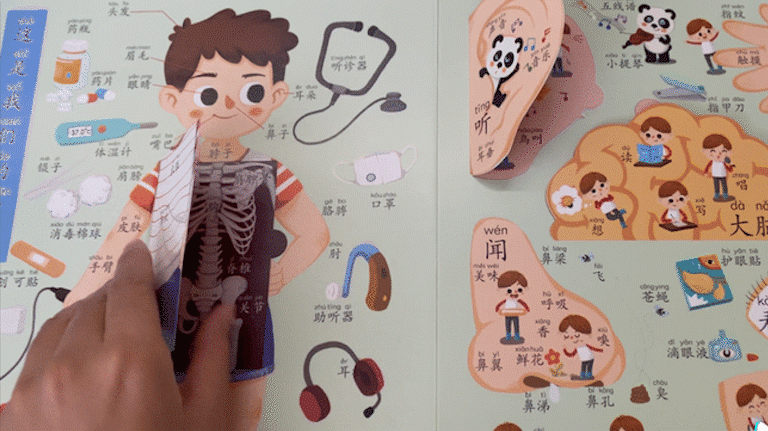 中班幼儿年龄特点，中班幼儿的年龄特点（幼儿园“大班”还是“中班”重要）