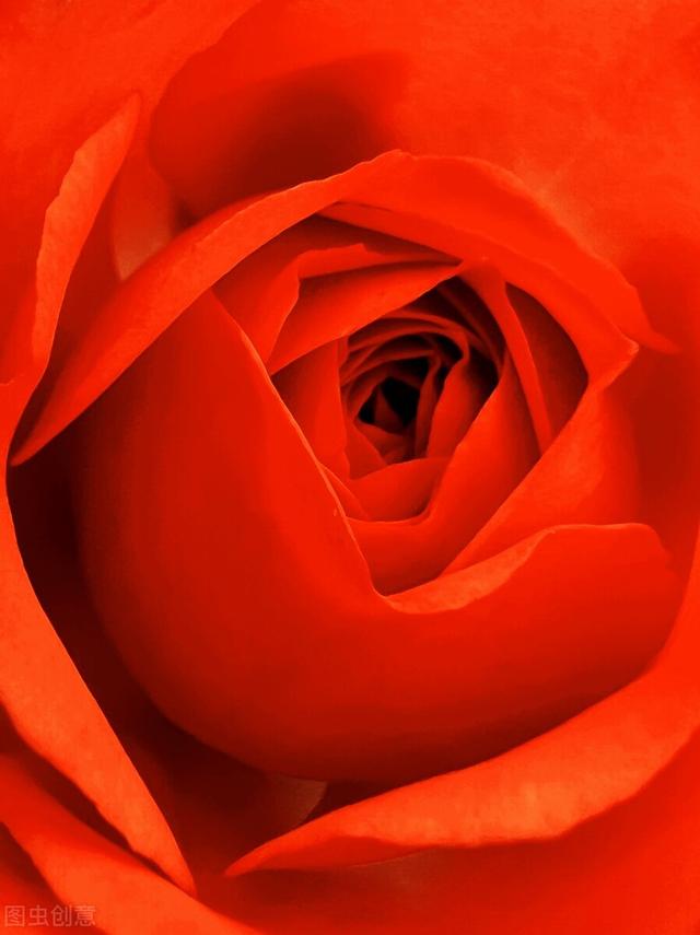 芳草鲜美下一句，芳草鲜美下一句是啥（芳草鲜美 • 落英缤纷）