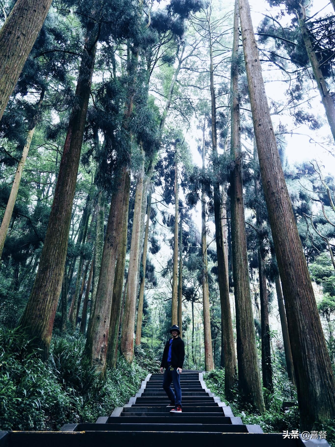 青城山后山门票(青城山后山景区门票)
