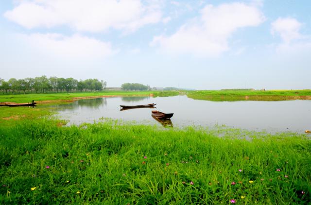 关于汉字的故事，关于汉字的故事100字（刘伯温的三个寓言故事）