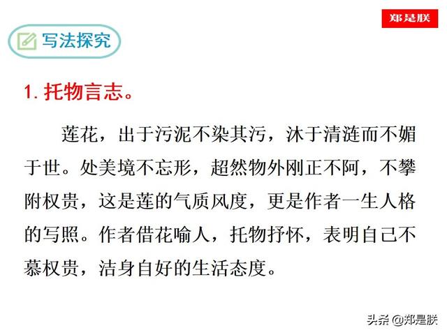 爱莲说原文朗读，爱莲说拼音版原文（部编人教版七年级语文下第17课《爱莲说》周敦颐-诵读+课件）