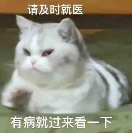 哼唧唧歪歪，微信头像，哼唧唧歪歪（猫猫狗狗表情包/哼哼）