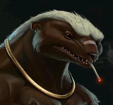 动物照片大全图片，好看的动物照片（微信高清动物头像）