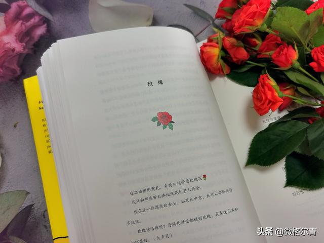 玫瑰的花语和它的传说，玫瑰的花语和它的传说有关（花朵在人类文明中的历史故事）