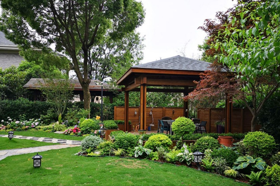 高大的庭院绿化树种(开花常绿景观树庭院) - 彝家农业网