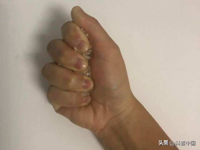 长期不吃主食会有什么危害吗，长期不吃主食会怎么样有危害吗（不吃主食的9个“副作用”）