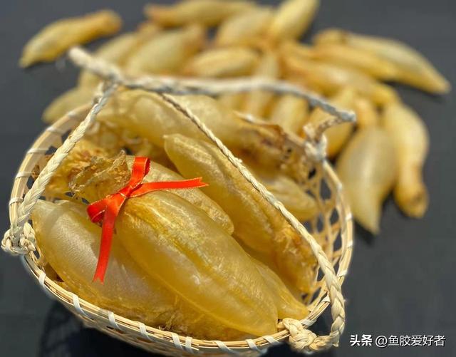 鱼胶品种怎么分的，鱼胶品种大全图片（今天鱼胶爱好者教你来挑选）