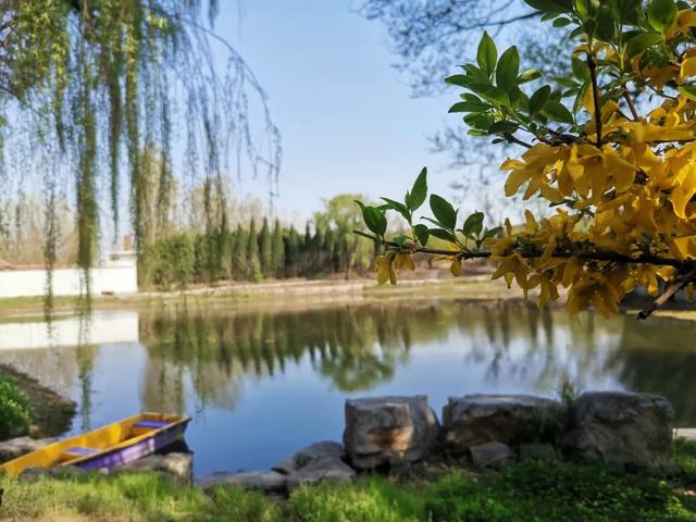 山东省济宁市泗水县，泗水县属于哪个市（走进“中国最美县域”泗水）